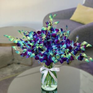 Designers collections