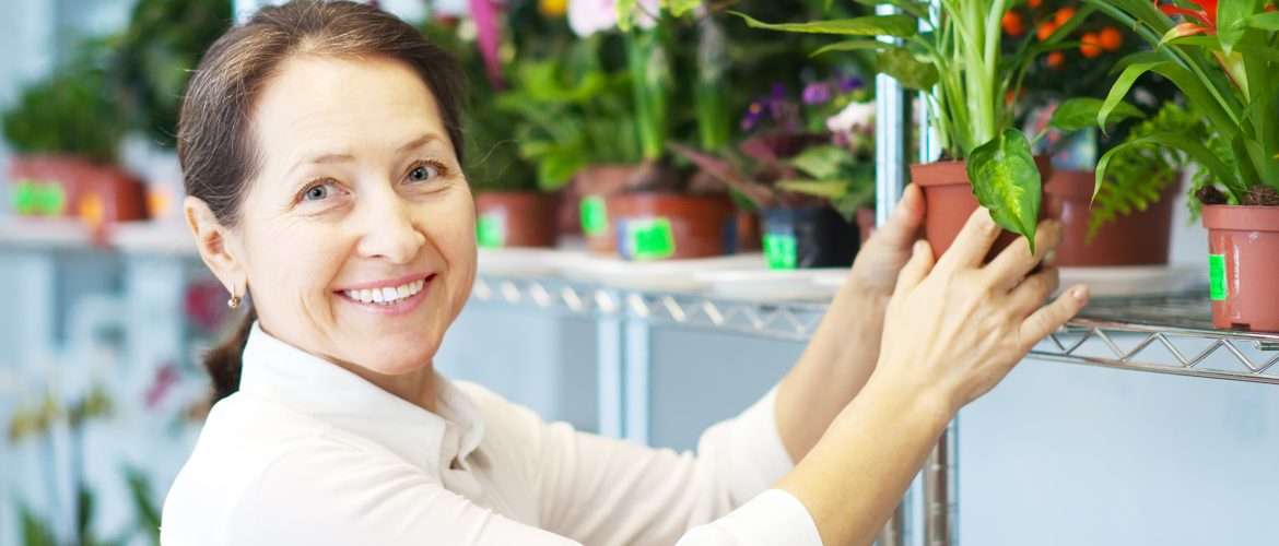 Best Indoor Plants for Home & Office