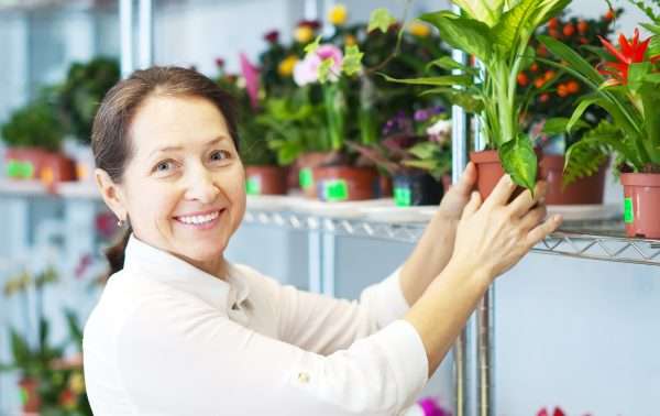 Best Indoor Plants for Home & Office