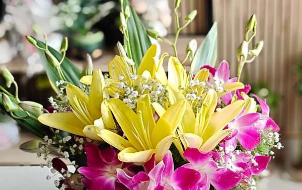 Best Flowers for Every Occasion: A Complete Guide to Choosing the Perfect Bloom