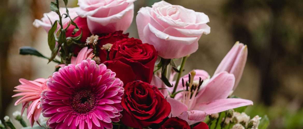 Top Romantic Flowers to Gift Someone You Love