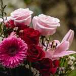 Top Romantic Flowers to Gift Someone You Love