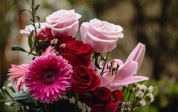 Top Romantic Flowers to Gift Someone You Love