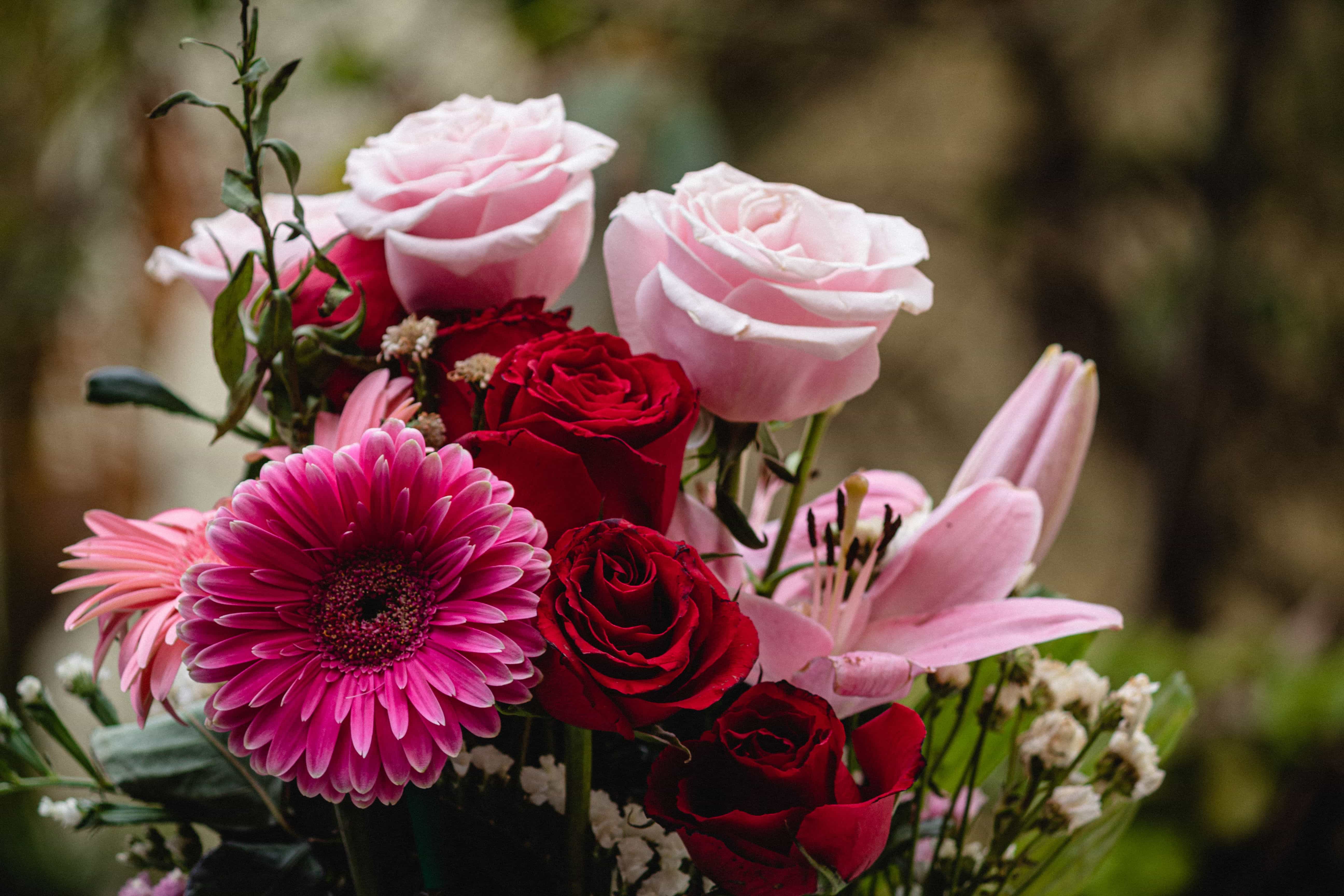 Top Romantic Flowers to Gift Someone You Love